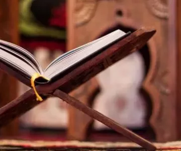 المتعة والسعادة في سطور