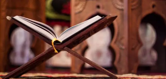 المتعة والسعادة في سطور